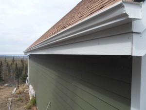 What Gutter Guards can do for You