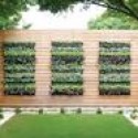 Gutter Gardens & Other Uses