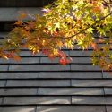 Back to School, Back to Fall: Autumn Roof Maintenance