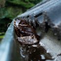 4 Signs Telling You It’s Time for New Gutters