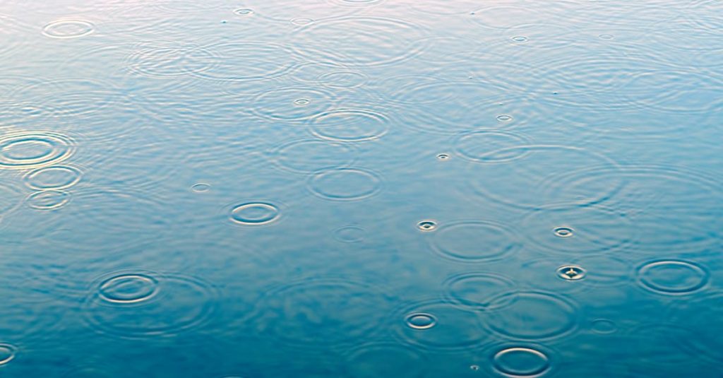 pexels-photo-1445335-1445335-1 Close-up of raindrops creating ripples on a calm water surface.
